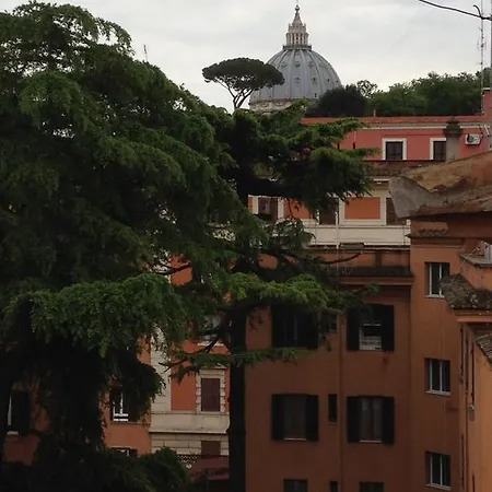 La Cupola Tra I Cedri *